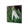 Textile Wall Decoration White Flower Snowdrop - 0