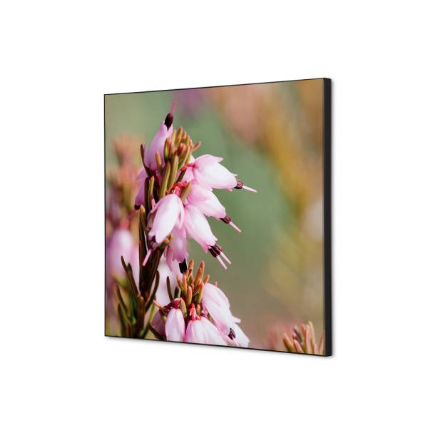 Textile Wall Decoration SET 40 x 40 Pink Flower Erica