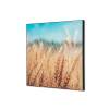 Textile Wall Decoration SET A1 Grain Field - 0