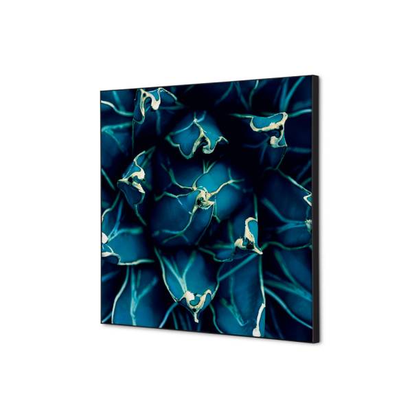 Textile Wall Decoration SET 40 x 40 Cactus Blue