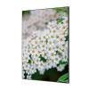 Textile Wall Decoration SET A1 White Flower Spirea - 2