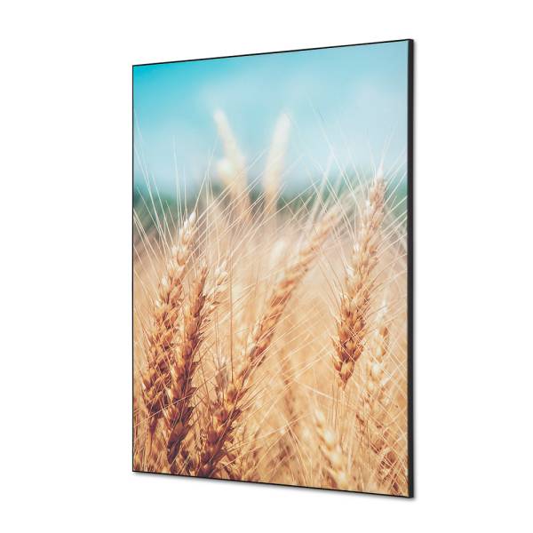 Textile Wall Decoration SET A1 Grain Field