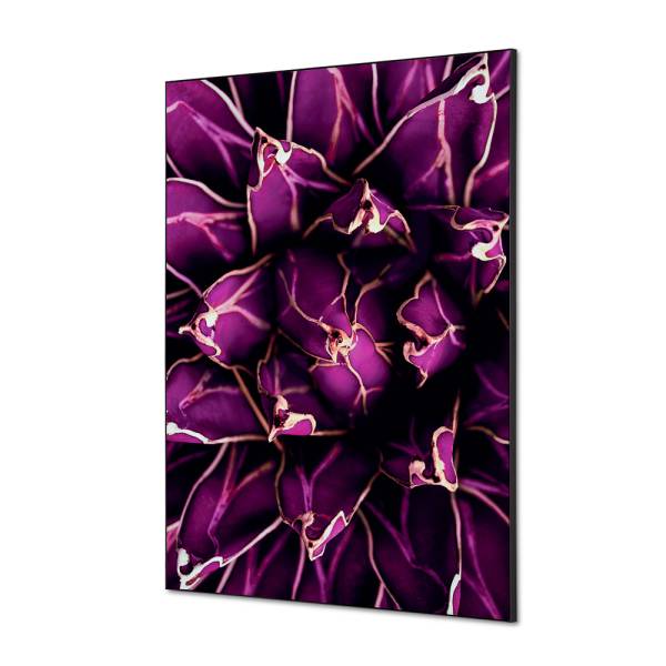 Textile Wall Decoration SET A1 Cactus Purple