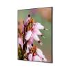 Textile Wall Decoration SET A1 Pink Flower Erica - 1