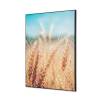 Textile Wall Decoration SET A1 Grain Field - 1