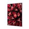 Textile Wall Decoration SET 40 x 40 Cactus Red - 10