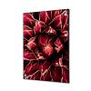 Textile Wall Decoration SET A1 Cactus Red - 10