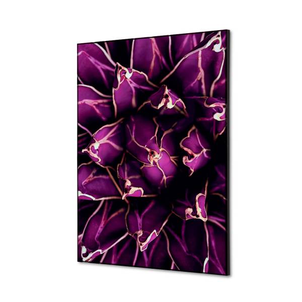 Textile Wall Decoration SET A2 Cactus Purple